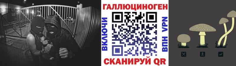 mega рабочий сайт  где можно купить   Дудинка  Псилоцибиновые грибы мицелий 